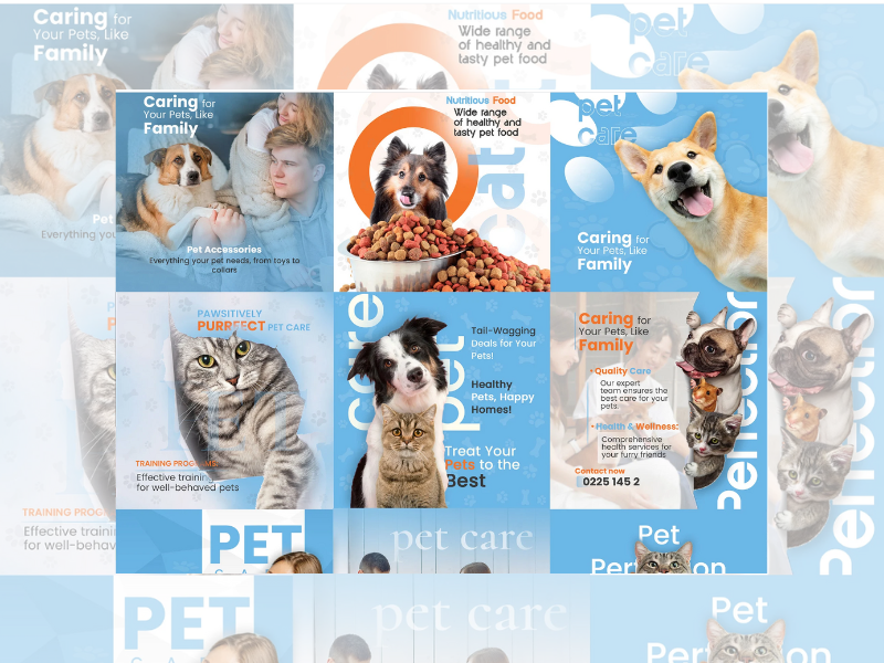 wordpress web design & digital Marketing